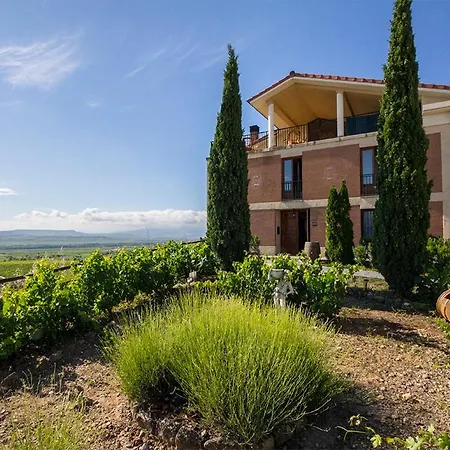 Mar de viñas-3